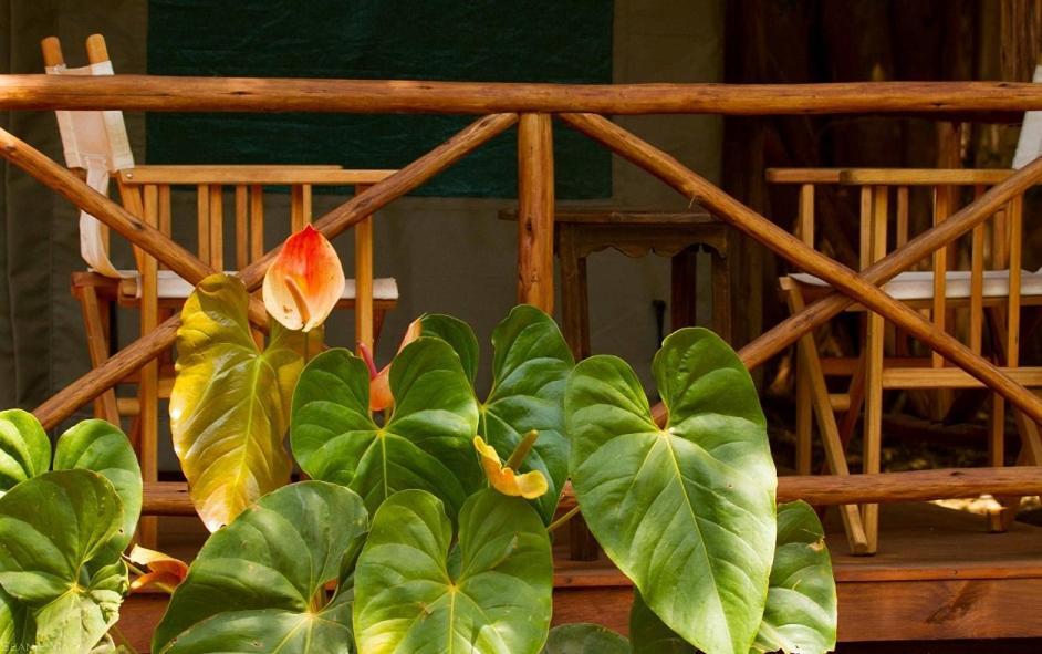 Simbamwenni Lodge And Camping Morogoro 外观 照片